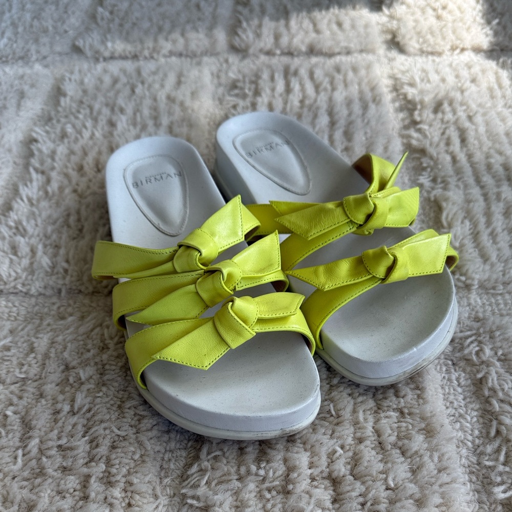 Alexandre Birman Slides